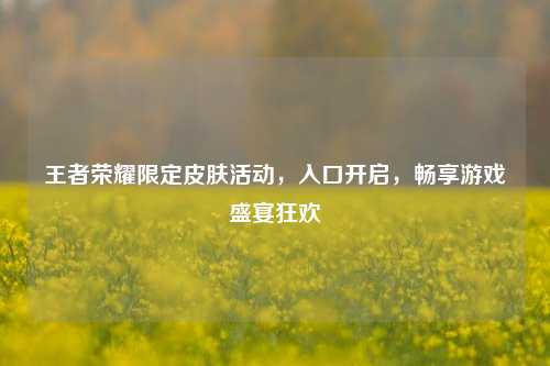 王者荣耀限定皮肤活动,入口开启,畅享游戏盛宴狂欢