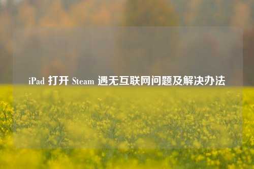 iPad 打开 Steam 遇无互联网问题及解决办法