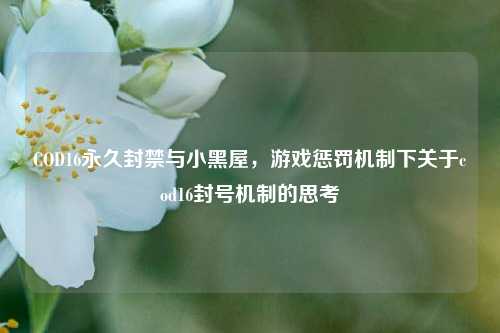 COD16永久封禁与小黑屋,游戏惩罚机制下关于cod16封号机制的思考