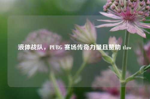 液体战队,PUBG 赛场传奇力量且赞助 tlaw