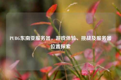 PUBG东南亚服务器,游戏体验、挑战及服务器位置探索