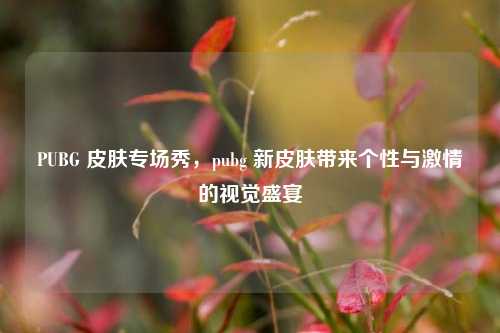 PUBG 皮肤专场秀,pubg 新皮肤带来个性与 的视觉盛宴