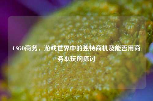CSGO商务,游戏世界中的独特商机及能否用商务本玩的探讨
