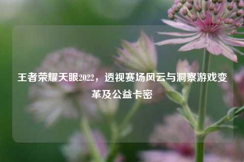 王者荣耀天眼2022,透视赛场风云与洞察游戏变革及公益卡密