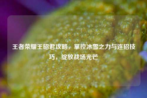 王者荣耀王昭君攻略,掌控冰雪之力与连招技巧,绽放战场光芒