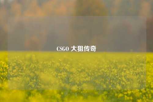 CSGO 大狙传奇