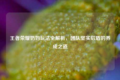 王者荣耀奶妈玩法全解析,团队坚实后盾的养成之道