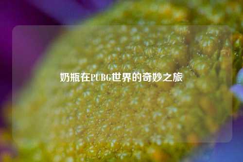 奶瓶在PUBG世界的奇妙之旅