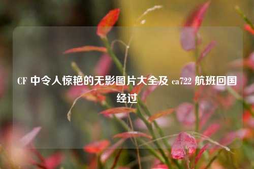 CF 中令人惊艳的无影图片大全及 ca722 航班回国经过