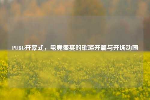PUBG开幕式,电竞盛宴的璀璨开篇与开场动画