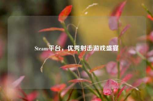Steam平台,优秀射击游戏盛宴