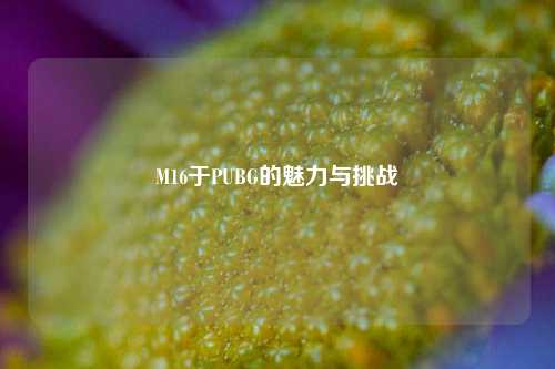 M16于PUBG的魅力与挑战