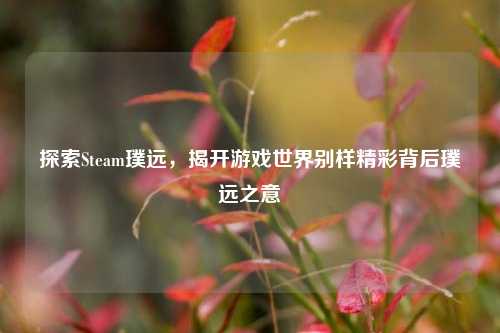 探索Steam璞远,揭开游戏世界别样精彩背后璞远之意