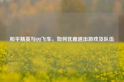 和平精英与 飞车,如何优雅退出游戏及队伍