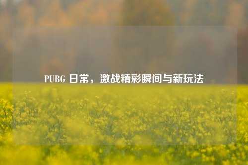 PUBG 日常,激战精彩瞬间与新玩法