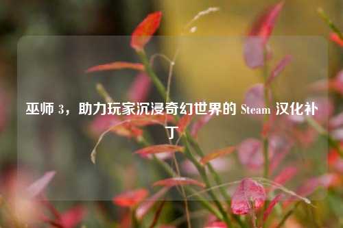 巫师 3,助力玩家沉浸奇幻世界的 Steam 汉化补丁
