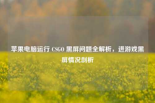 苹果电脑运行 CSGO 黑屏问题全解析,进游戏黑屏情况剖析