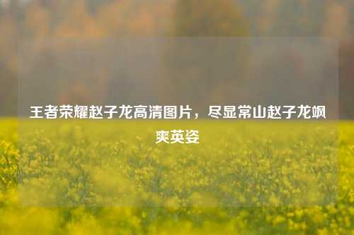 王者荣耀赵子龙高清图片,尽显常山赵子龙飒爽英姿