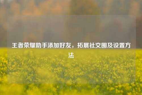 王者荣耀助手添加好友,拓展社交圈及设置