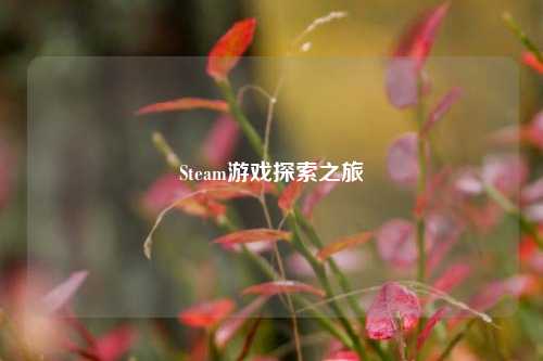 Steam游戏探索之旅