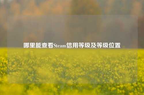 哪里能查看Steam信用等级及等级位置