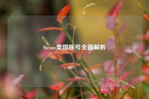Steam美国账号全面解析