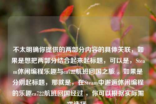 不太明确你提供的两部分内容的具体关联,如果是想把两部分结合起来起标题,可以是,Steam休闲编程乐趣与ca722航班回国之旅 。如果是分别起标题,那就是,在Steam中邂逅休闲编程的乐趣ca722航班回国经过 ,你可以根据实际需求选择。