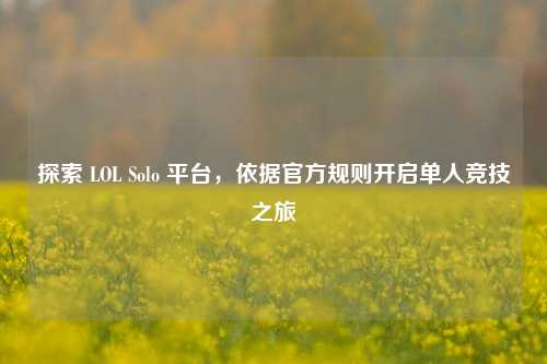 探索 LOL Solo 平台,依据官方规则开启单人竞技之旅