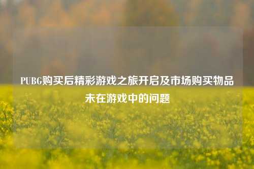PUBG购买后精彩游戏之旅开启及市场购买物品未在游戏中的问题