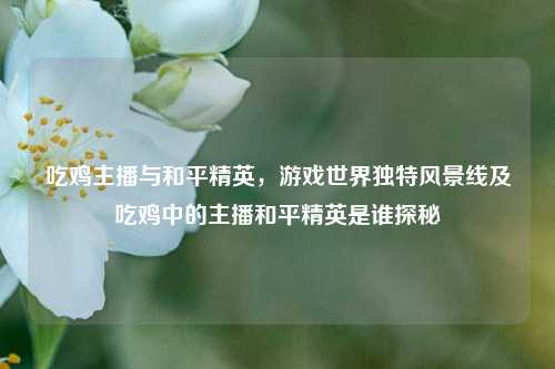 吃鸡主播与和平精英,游戏世界独特风景线及吃鸡中的主播和平精英是谁探秘