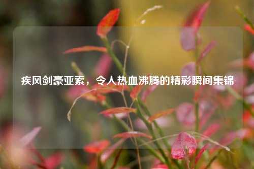 疾风剑豪亚索,令人热血沸腾的精彩瞬间集锦