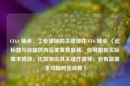 CF6A 轴承,工业领域的关键部件 CF6 轴承 (此标题与你提供内容重复度更高,你可根据实际需求修改,比如突出其关键作用等,若有新需求可随时告诉我)