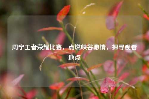周宁王者荣耀比赛,点燃峡谷 ,探寻观看地点