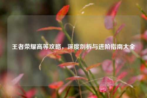 王者荣耀高等攻略,深度剖析与进阶指南大全