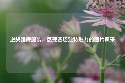逆战跳舞服装,展现赛场独特魅力的图片风采