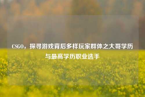 CSGO,探寻游戏背后多样玩家群体之大哥学历与更高学历职业选手