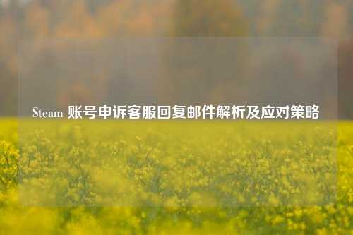 Steam 账号申诉 回复邮件解析及应对策略