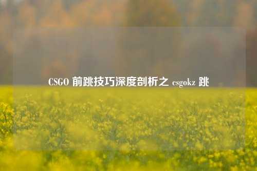CSGO 前跳技巧深度剖析之 csgokz 跳