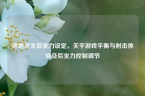 绝地求生后坐力设定,关乎游戏平衡与射击体验及后坐力控制调节