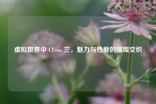 虚拟世界中 Cf cos 兰,魅力与热爱的璀璨交织
