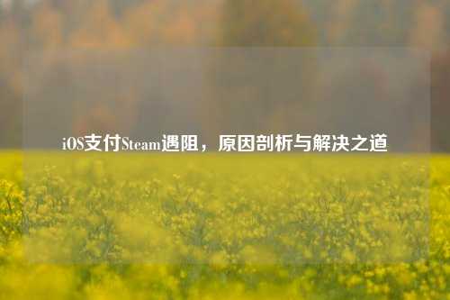 iOS支付Steam遇阻,原因剖析与解决之道