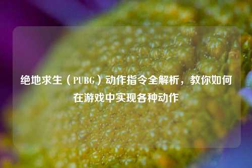 绝地求生(PUBG)动作指令全解析,教你如何在游戏中实现各种动作