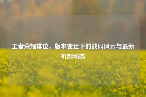 王者荣耀排位,版本变迁下的战局风云与最新机制动态