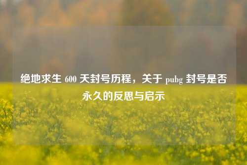 绝地求生 600 天封号历程,关于 pubg 封号是否永久的反思与启示