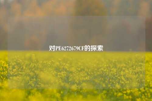 对PE6272679CF的探索