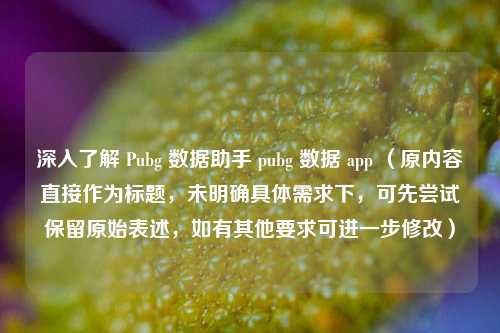 深入了解 Pubg 数据助手 pubg 数据 app (原内容直接作为标题,未明确具体需求下,可先尝试保留原始表述,如有其他要求可进一步修改)