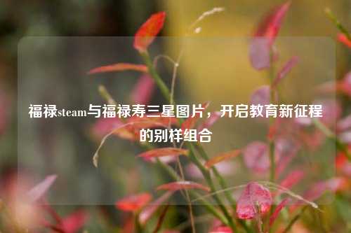 福禄steam与福禄寿三星图片,开启教育新征程的别样组合