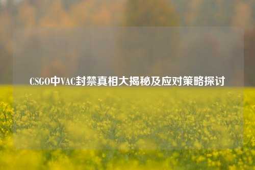 CSGO中VAC封禁真相大揭秘及应对策略探讨