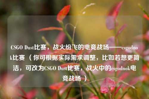 CSGO Dust比赛,战火纷飞的电竞战场——csgodnok比赛 (你可根据实际需求调整,比如若想更简洁,可改为CSGO Dust比赛,战火中的csgodnok电竞战场 )