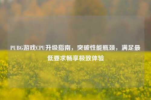 PUBG游戏CPU升级指南,突破性能瓶颈,满足更低要求畅享极致体验